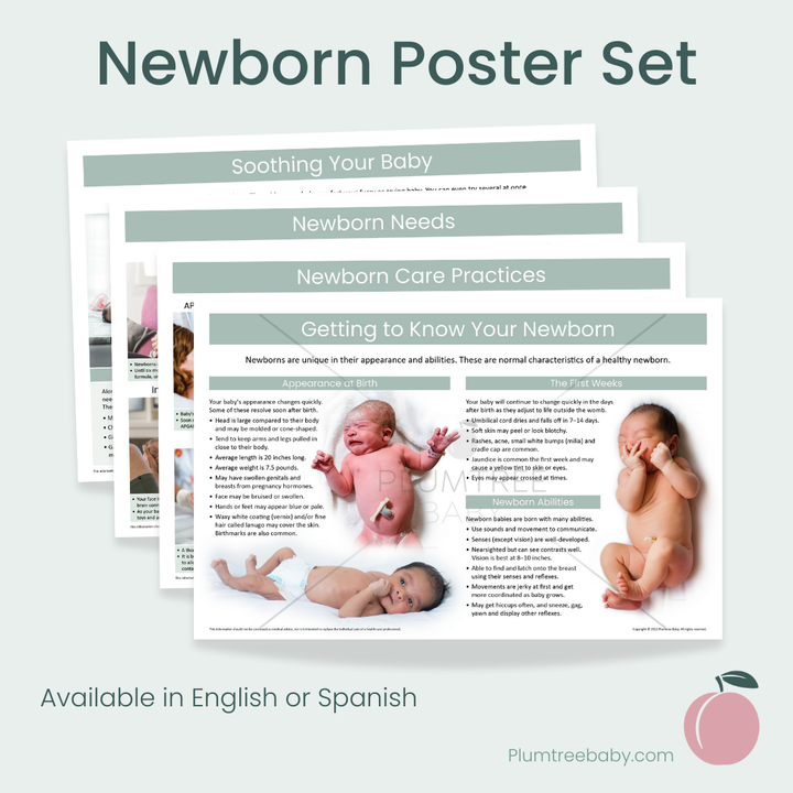 Newborn Poster Set-Poster-Plumtree Baby