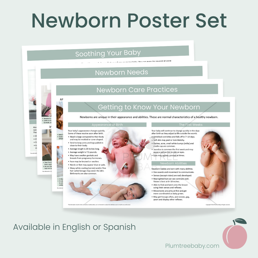 Newborn Poster Set-Poster-Plumtree Baby
