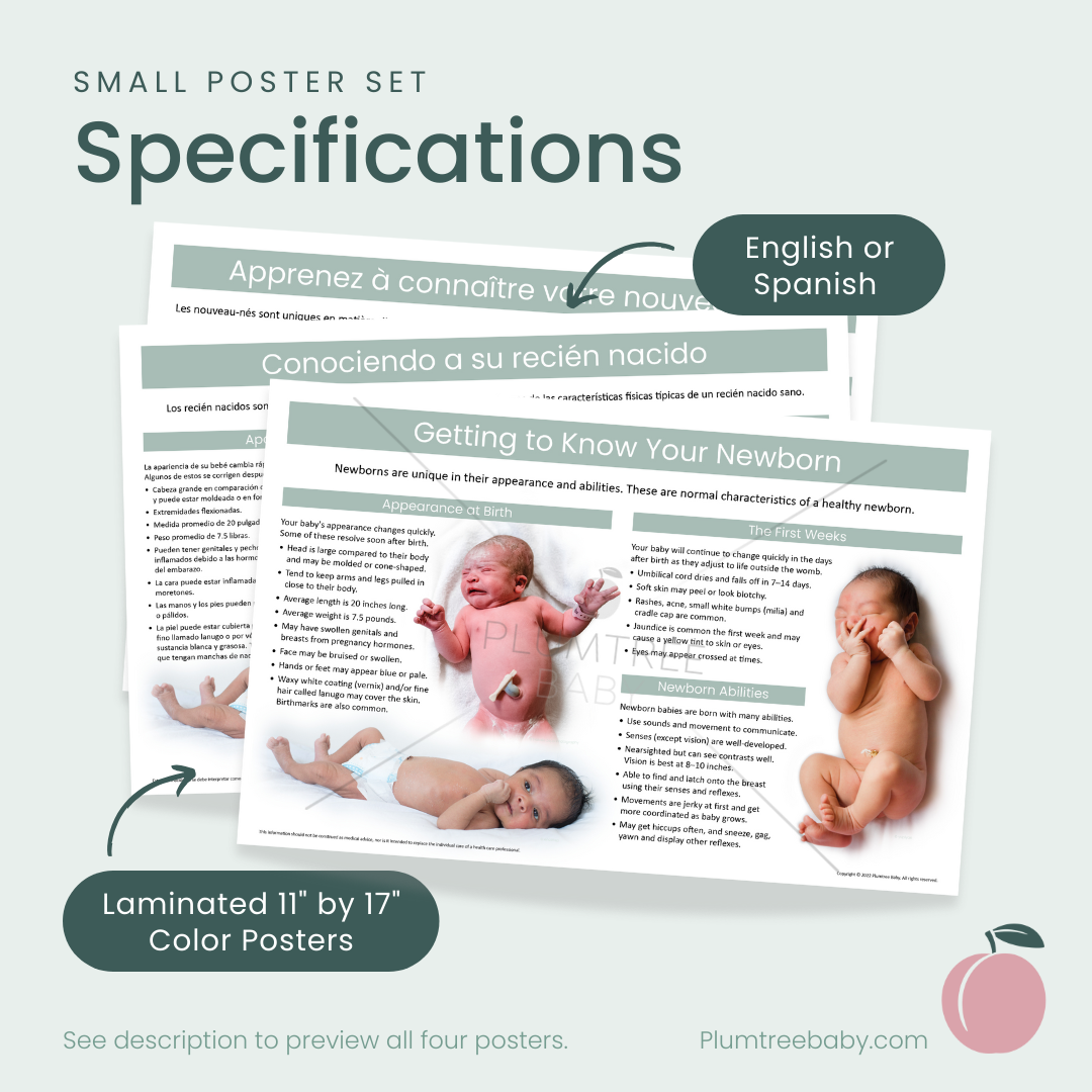 Newborn Poster Set-Poster-Plumtree Baby