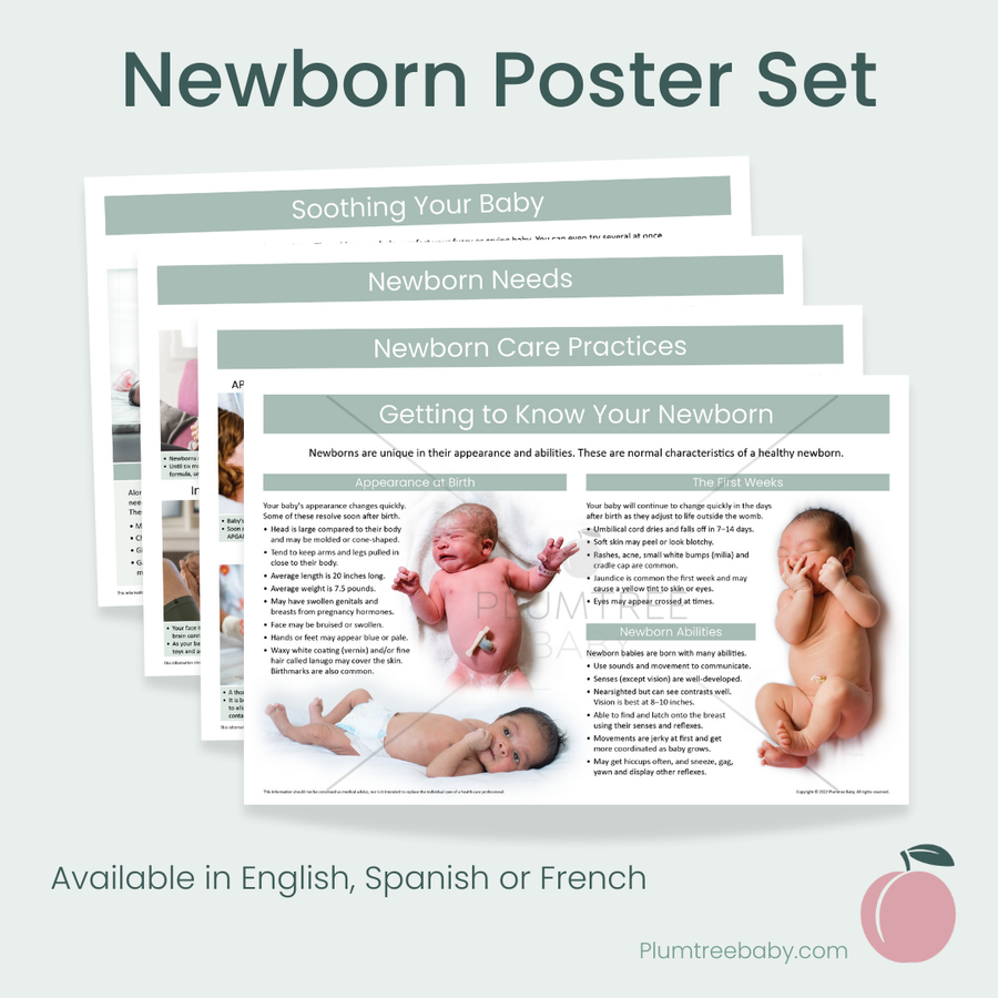 Newborn Poster Set-Poster-Plumtree Baby