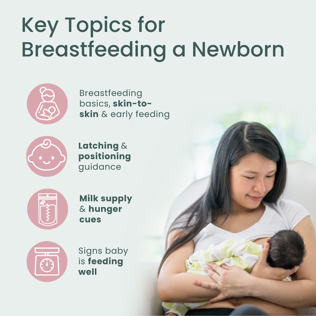 Nursing Your Baby Quick Reference Guides - Pack of 50-Handout-Plumtree Baby