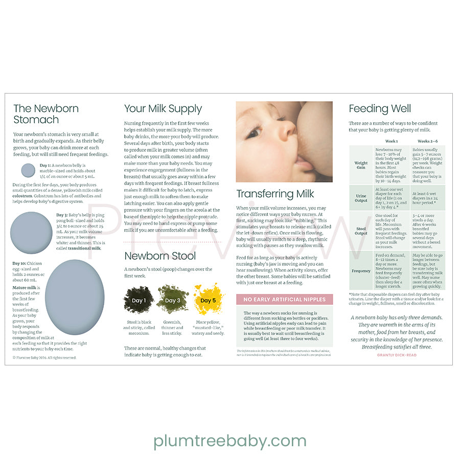 Nursing Your Baby Quick Reference Guides - Pack of 50-Handout-Plumtree Baby