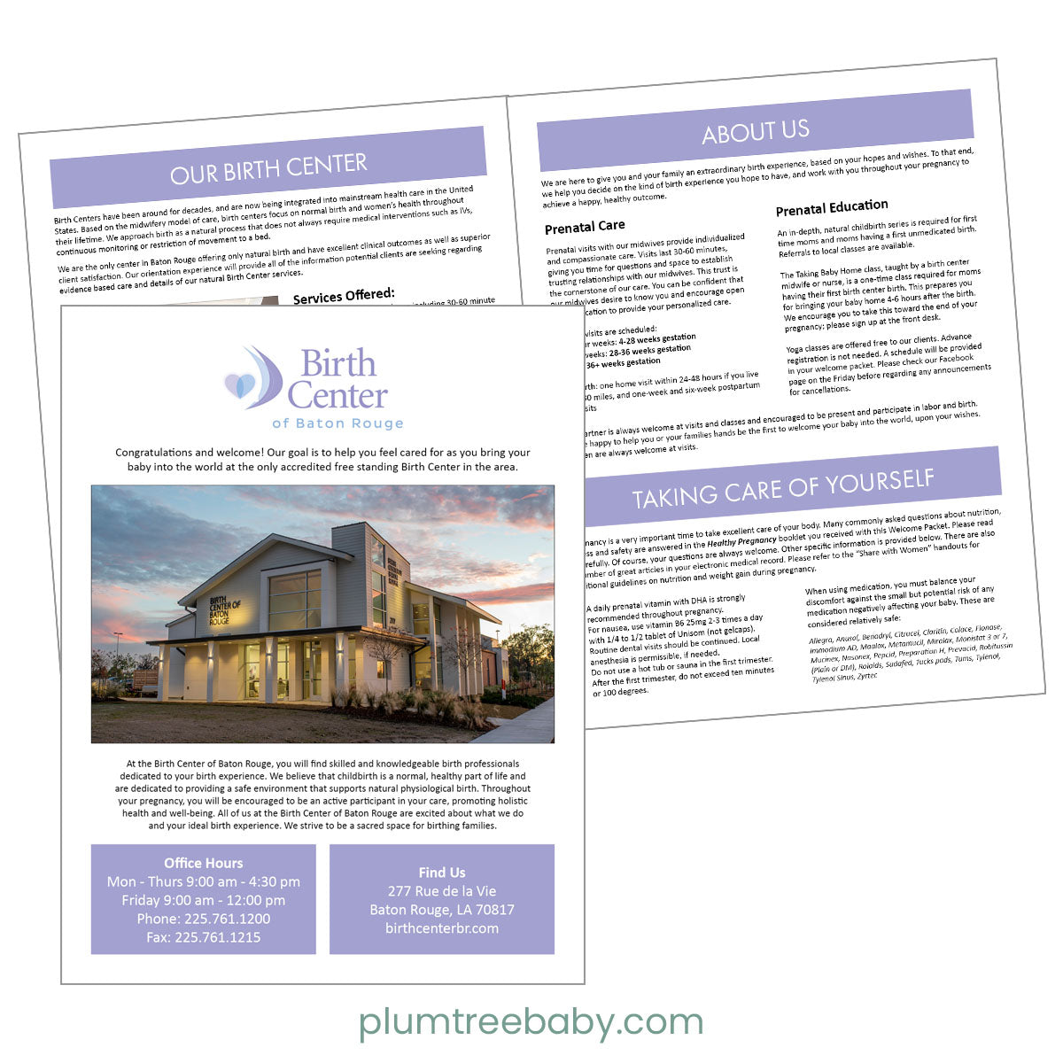 Custom Brochure-Plumtree Baby