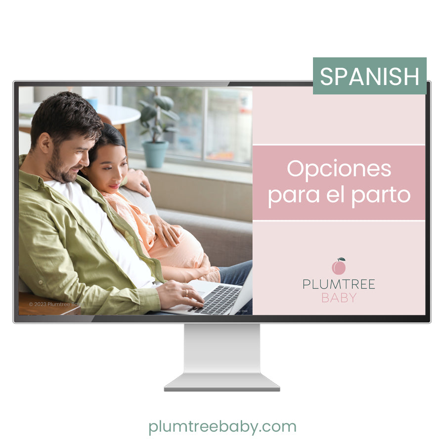 Birth Choices PowerPoint and Teaching Guide-PowerPoint-Plumtree Baby