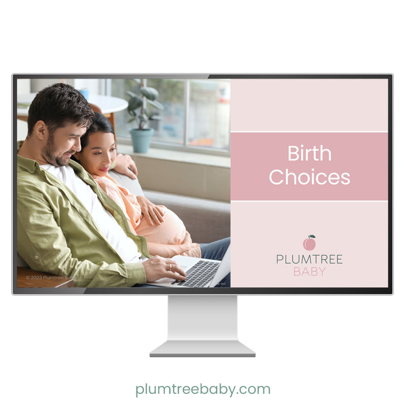 Birth Choices PowerPoint-PowerPoint-Plumtree Baby