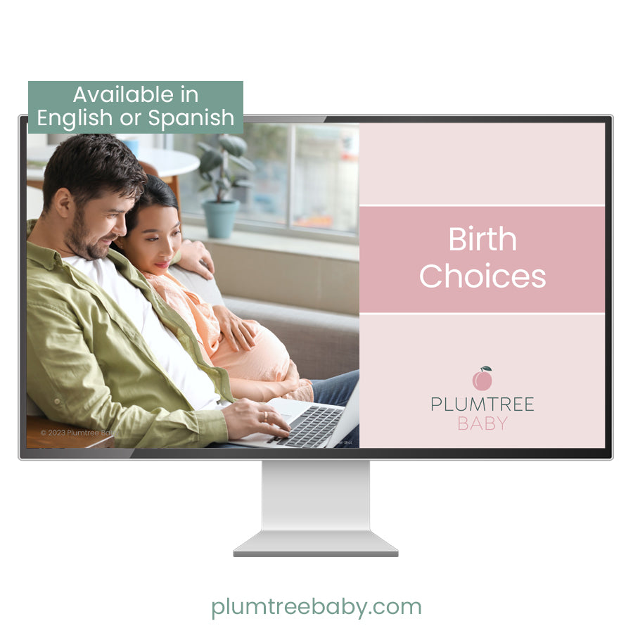 Birth Choices PowerPoint and Teaching Guide-PowerPoint-Plumtree Baby