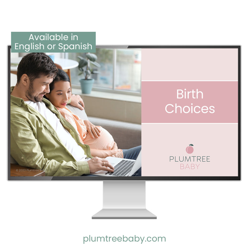 Birth Choices PowerPoint-PowerPoint-Plumtree Baby