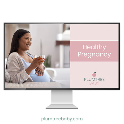 Healthy Pregnancy PowerPoint-PowerPoint-Plumtree Baby