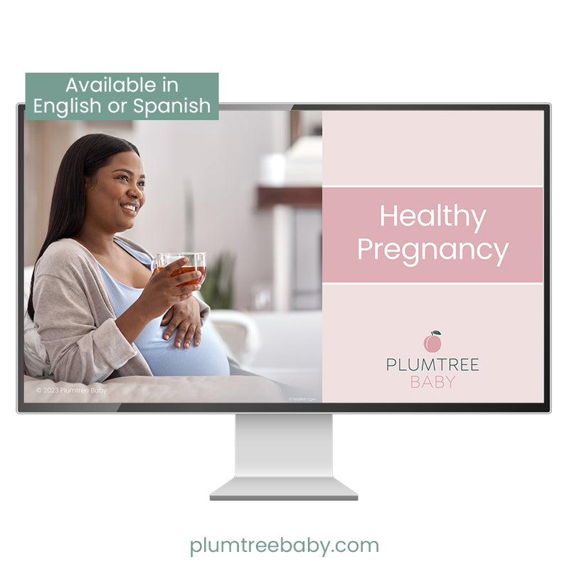 Healthy Pregnancy PowerPoint-PowerPoint-Plumtree Baby