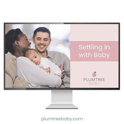 Settling In with Baby PowerPoint-PowerPoint-Plumtree Baby