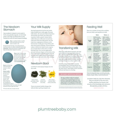 Nursing Your Baby Quick Reference Guides - Pack of 50-Handout-Plumtree Baby