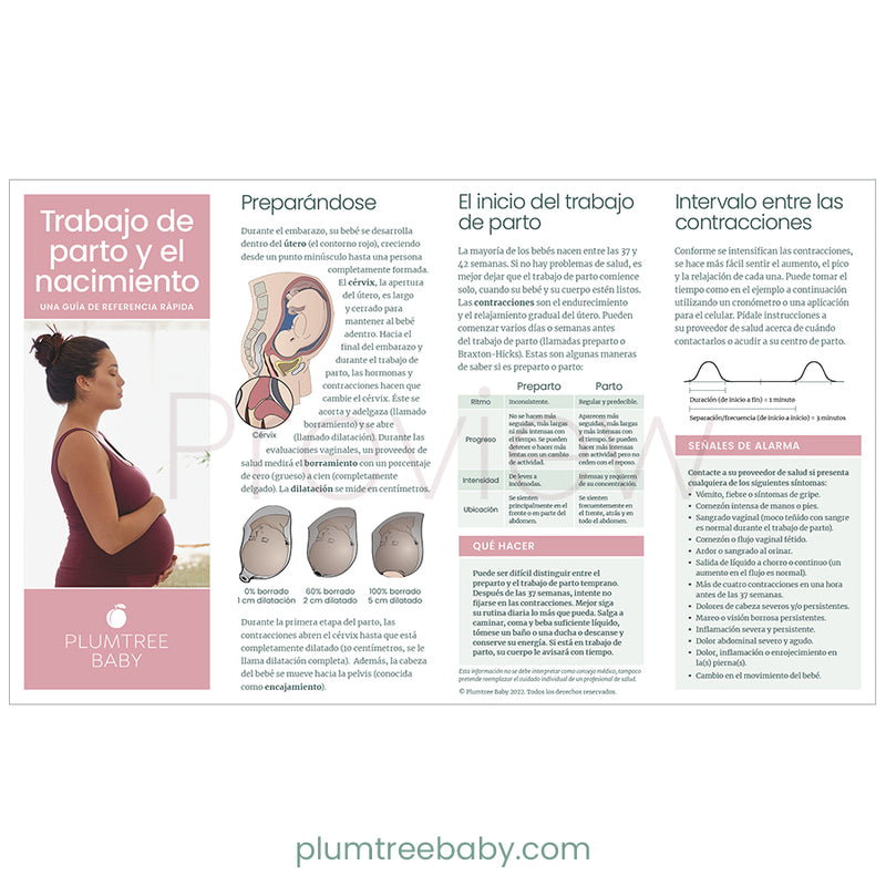 Labor and Birth Quick Reference Guides - Pack of 50-Handout-Plumtree Baby