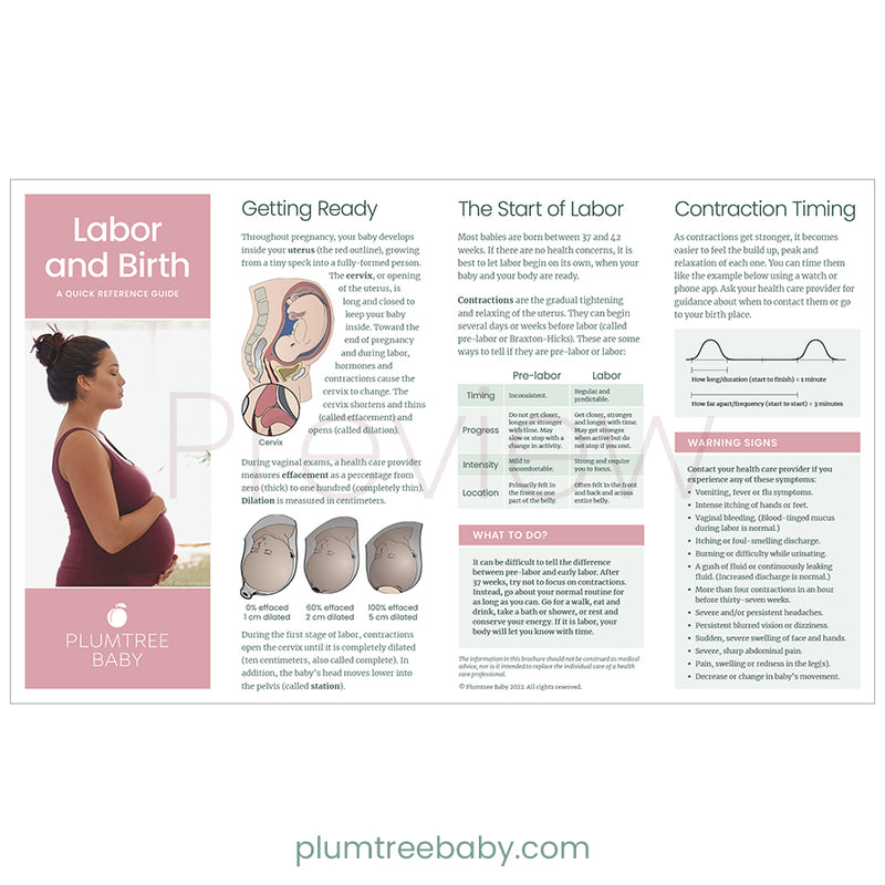 Labor and Birth Quick Reference Guides - Pack of 50-Handout-Plumtree Baby