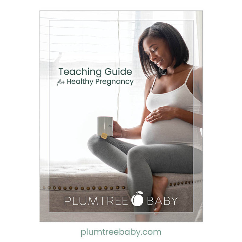 Healthy Pregnancy PowerPoint-PowerPoint-Plumtree Baby