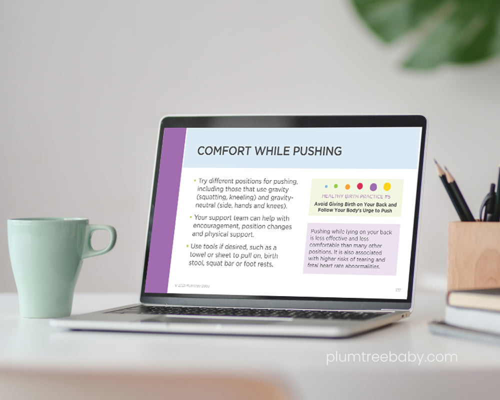 Lamaze Navigating Pregnancy & Birth PowerPoint-PowerPoint-Plumtree Baby
