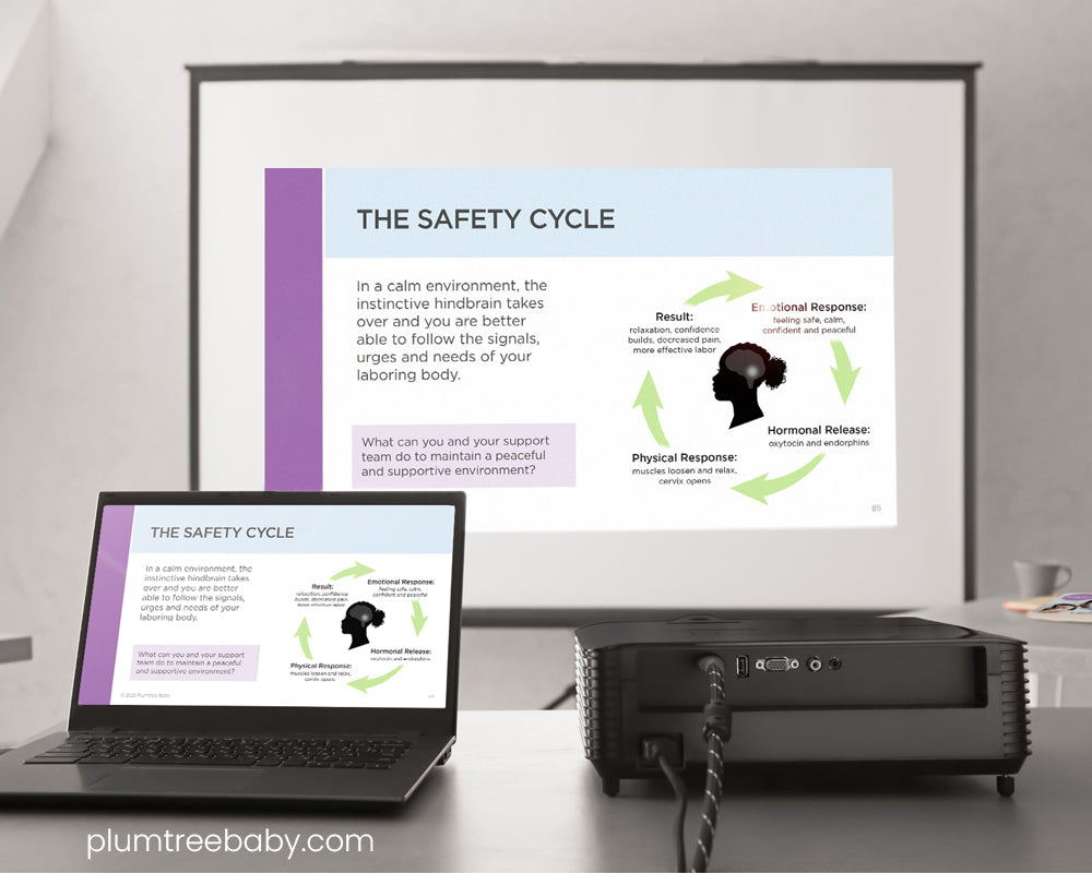 Lamaze Hospital Starter Package-Instructor Resource-Plumtree Baby