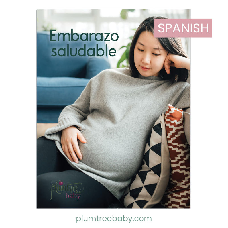 Healthy Pregnancy Booklet-Book-Plumtree Baby