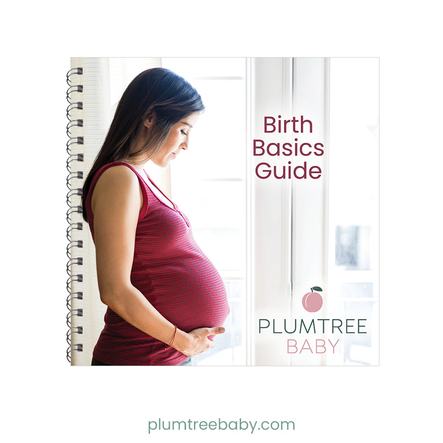 Birth Basics Pocket Guide – Plumtree Baby