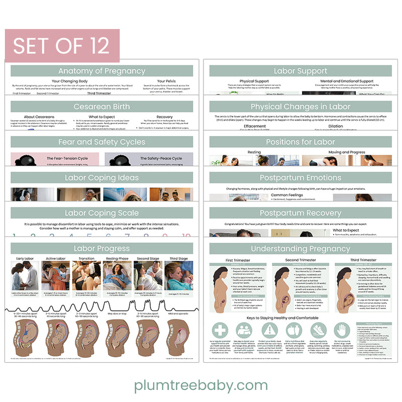 Childbirth Education Poster Set-Poster-Plumtree Baby