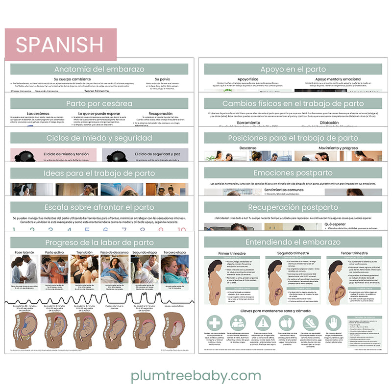 Childbirth Education Poster Set-Poster-Plumtree Baby