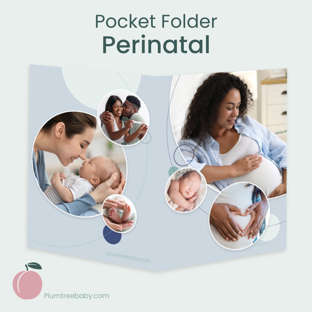 Pocket Folders - Pack of 10