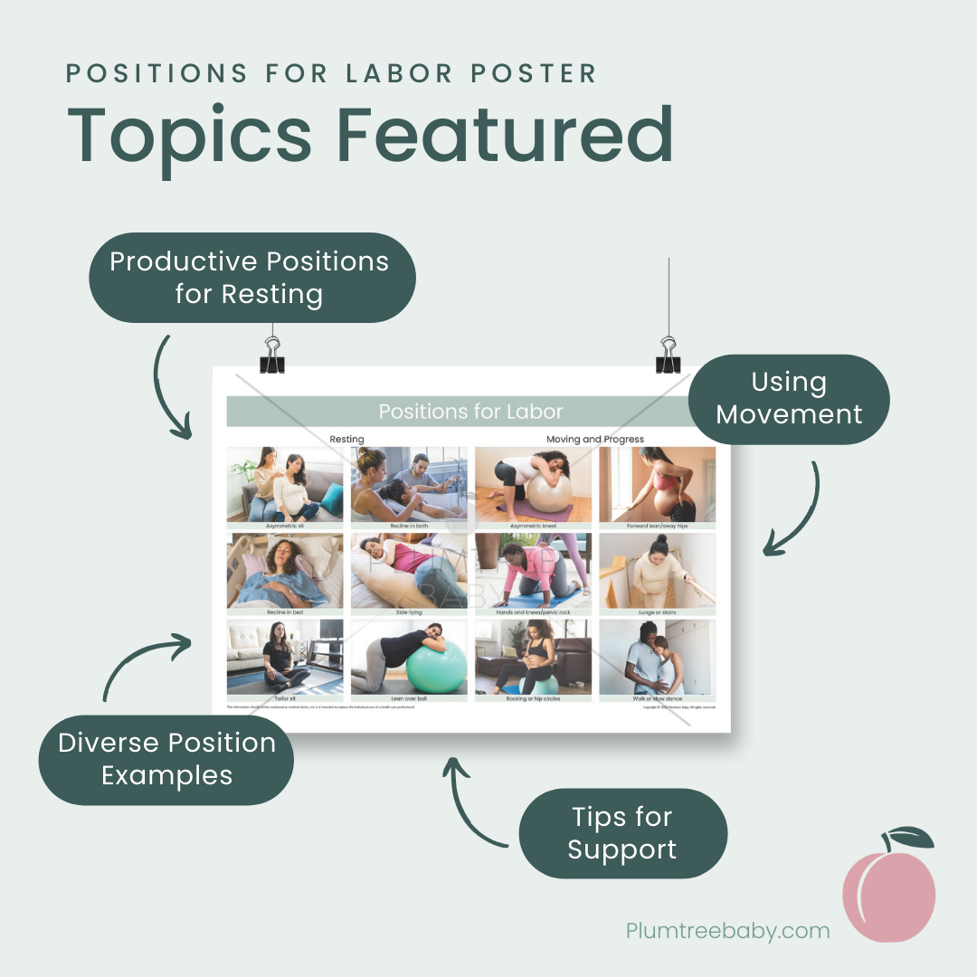 Positions for Labor Poster-Poster-Plumtree Baby