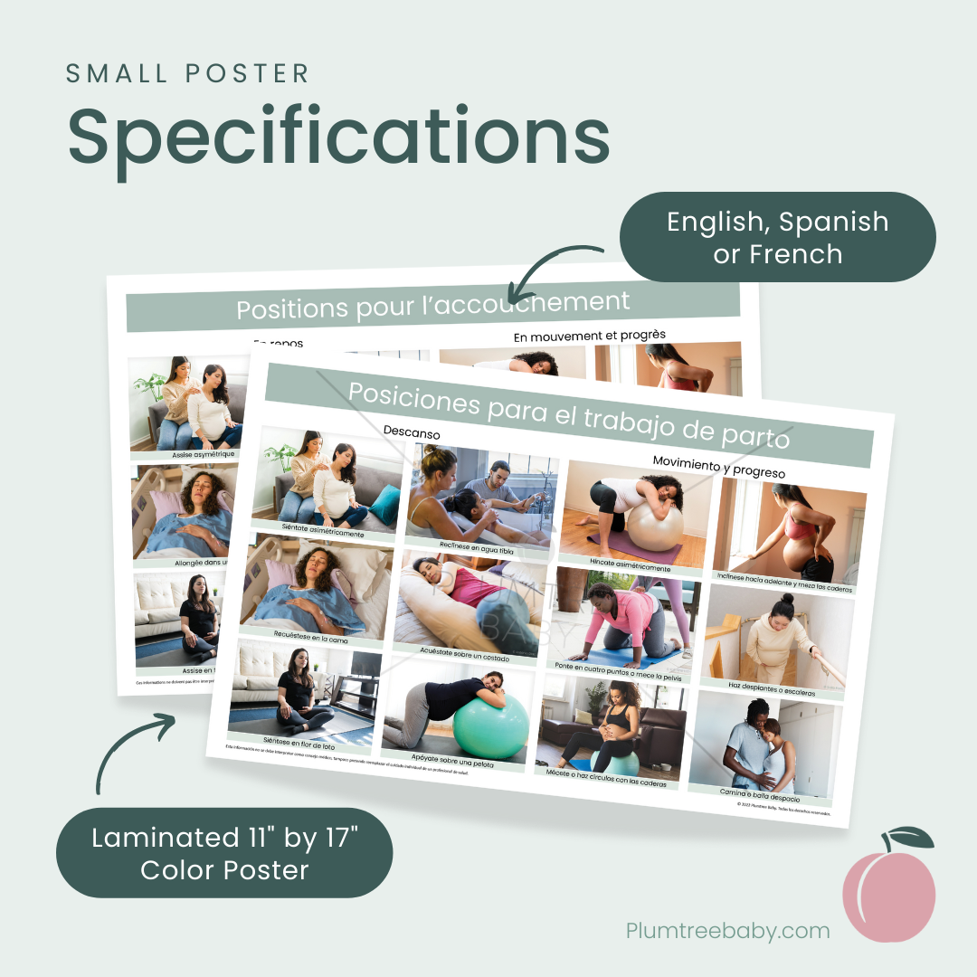 Positions for Labor Poster-Poster-Plumtree Baby