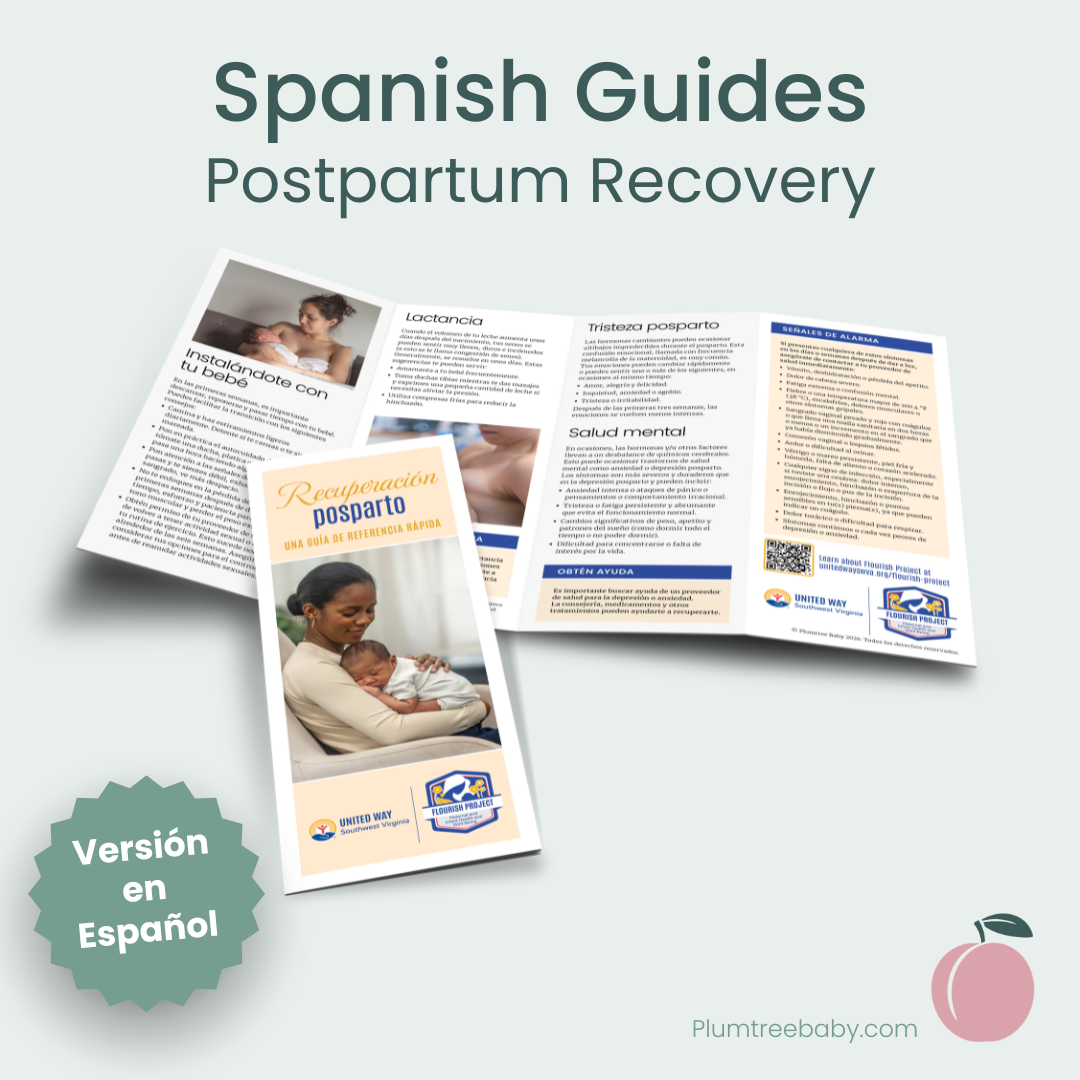 Postpartum Recovery Reference Guides - Branded-Handout-Plumtree Baby