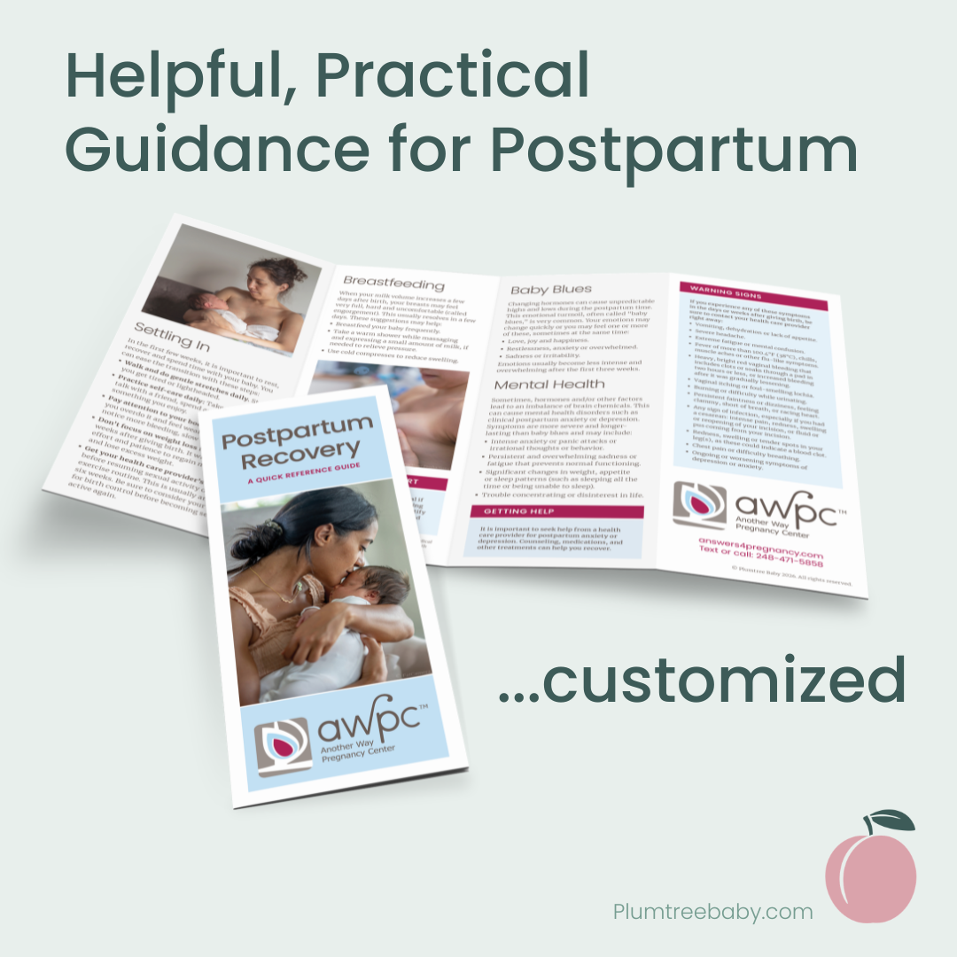 Postpartum Recovery Reference Guides - Branded-Handout-Plumtree Baby