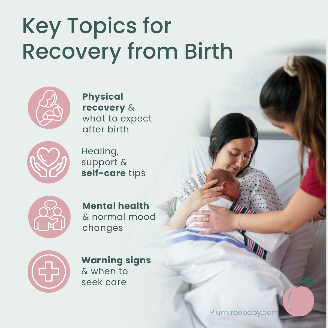 Postpartum Quick Reference Guides - Pack of 50-Handout-Plumtree Baby