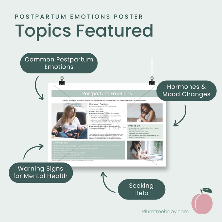 Postpartum Emotions Poster-Poster-Plumtree Baby