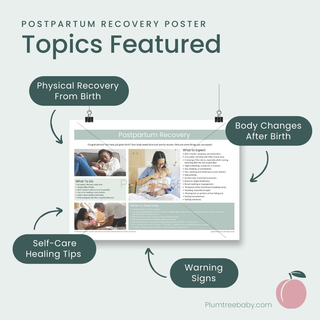 Postpartum Recovery Poster-Poster-Plumtree Baby