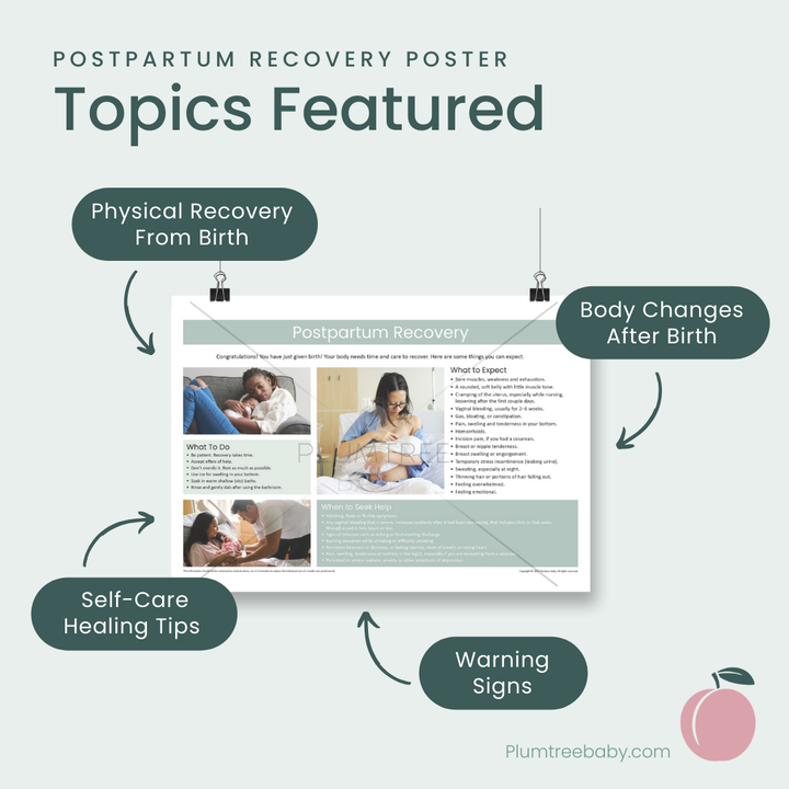 Postpartum Recovery Poster-Poster-Plumtree Baby