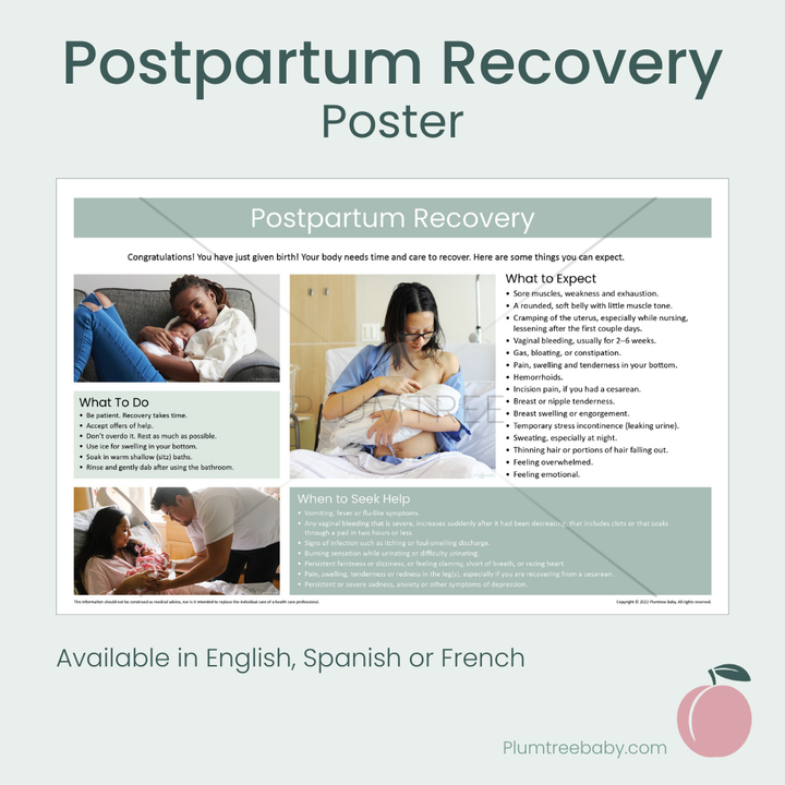Postpartum Recovery Poster-Poster-Plumtree Baby