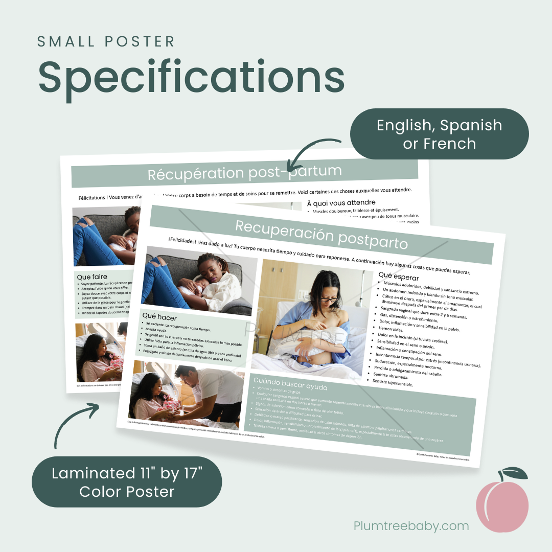 Postpartum Recovery Poster-Poster-Plumtree Baby