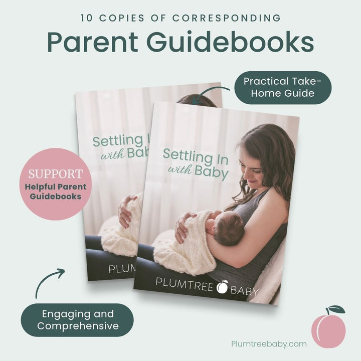 Postpartum and Baby Care Starter Package-Instructor Resource-Plumtree Baby