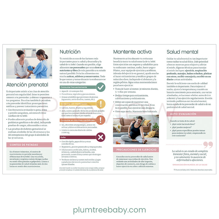 Pregnancy Health Quick Reference Guides - Pack of 50