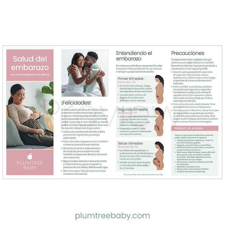 Pregnancy Health Quick Reference Guides - Pack of 50