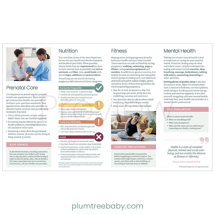 Pregnancy Health Quick Reference Guides - Pack of 50-Handout-Plumtree Baby