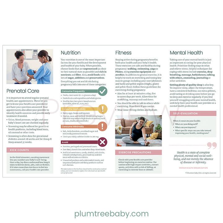 Pregnancy Health Quick Reference Guides - Pack of 50