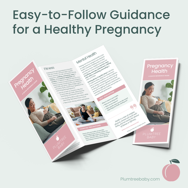 Pregnancy Health Quick Reference Guides - Pack of 50-Handout-Plumtree Baby