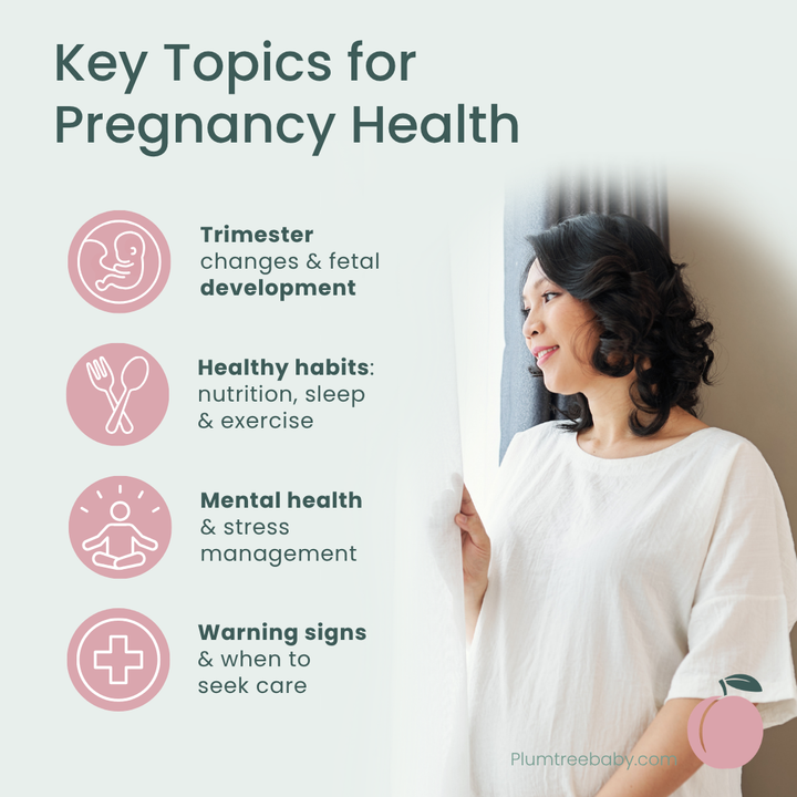 Pregnancy Health Quick Reference Guides - Pack of 50-Handout-Plumtree Baby