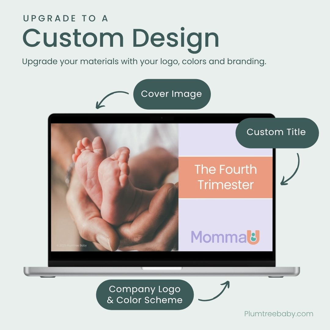 Settling In with Baby PowerPoint-PowerPoint-Plumtree Baby