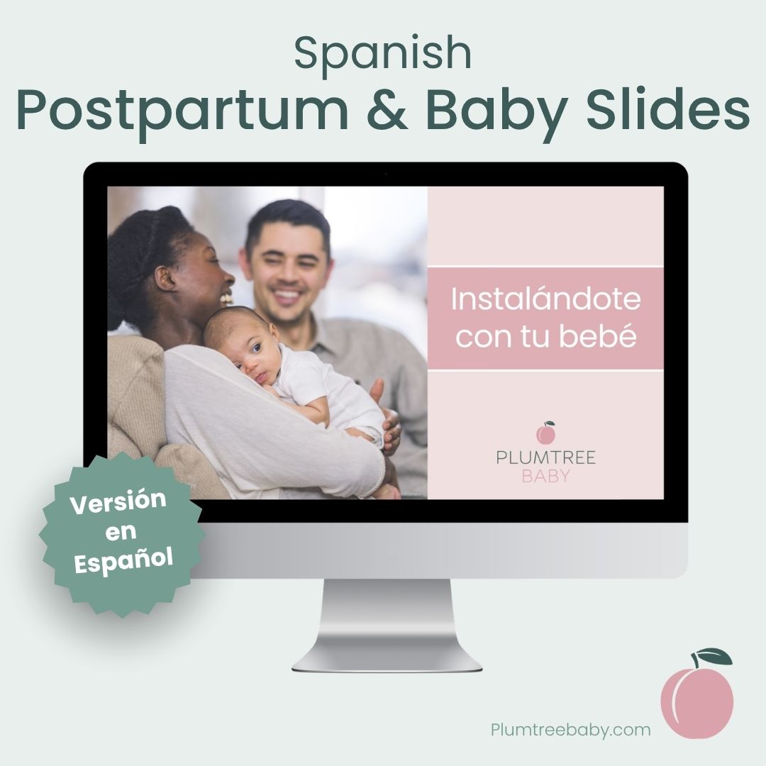 Settling In with Baby PowerPoint-PowerPoint-Plumtree Baby