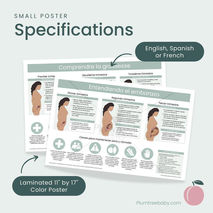 Understanding Pregnancy Poster-Poster-Plumtree Baby
