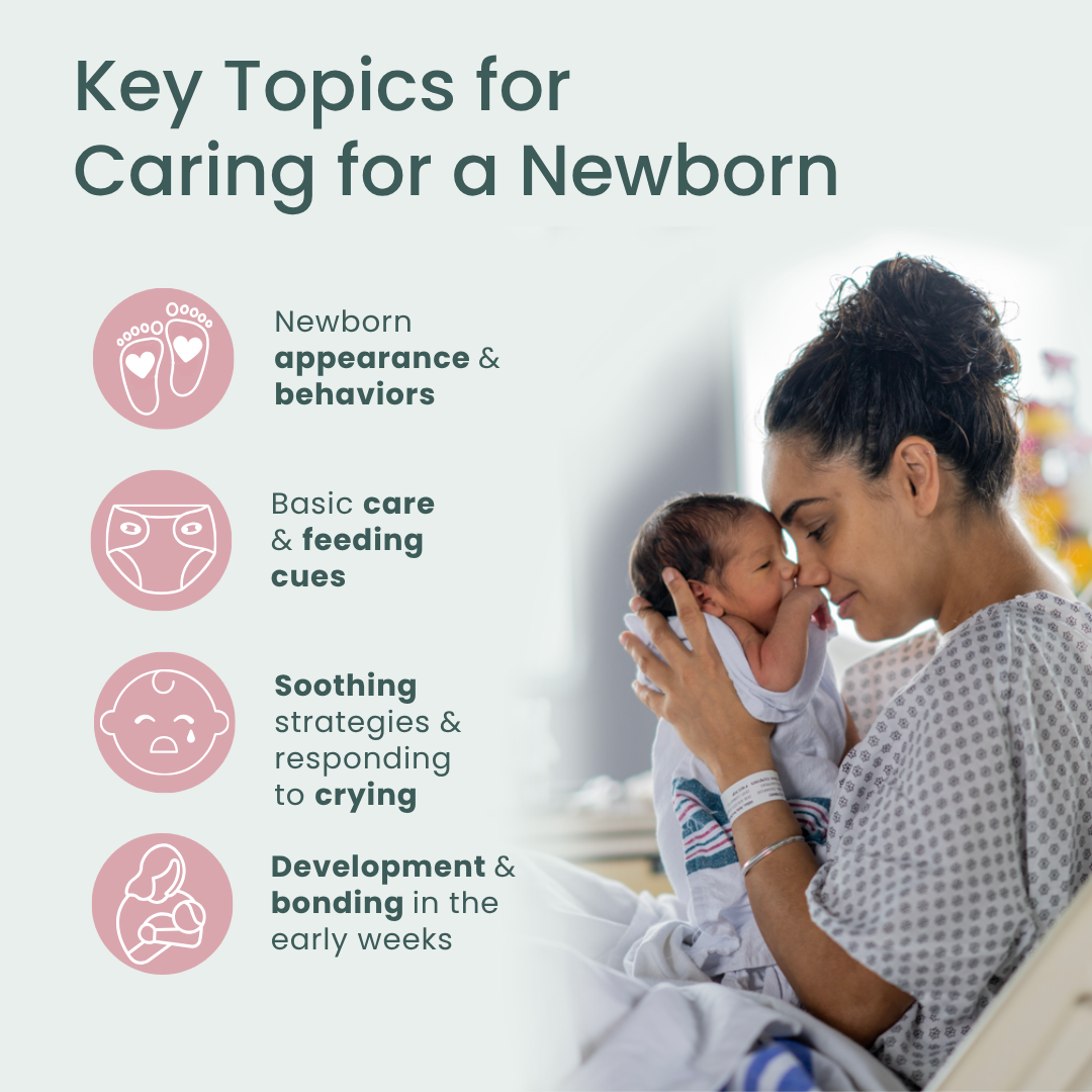Your Newborn Quick Reference Guides - Pack of 50-Handout-Plumtree Baby