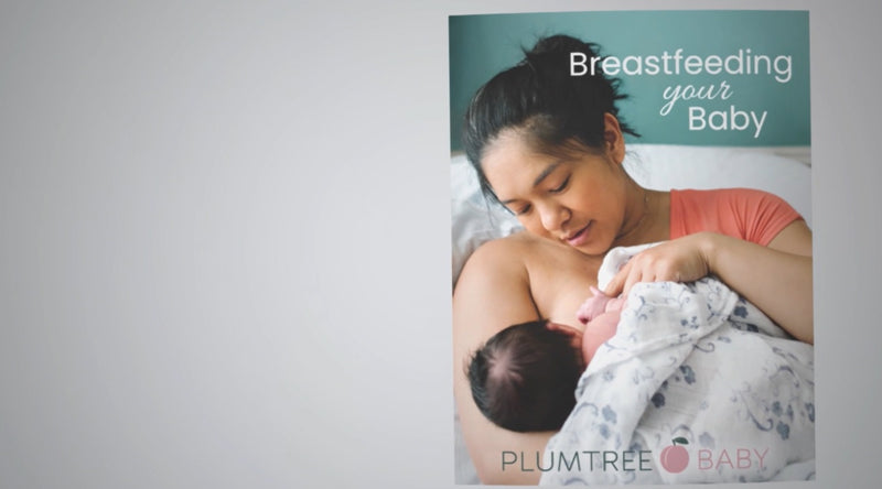 Breastfeeding Booklets - Branded