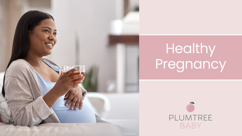 Healthy Pregnancy PowerPoint