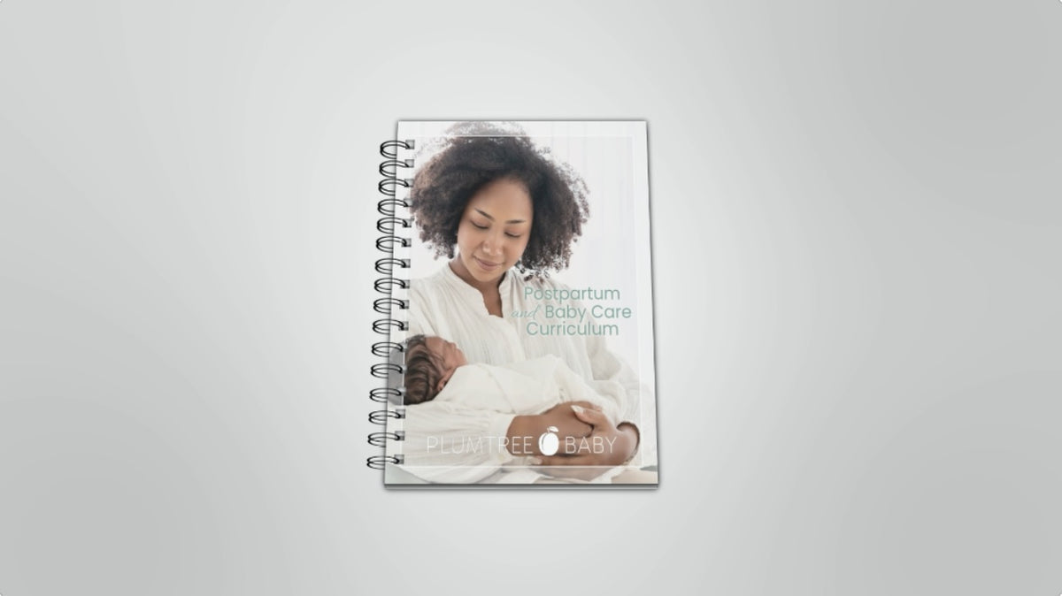 Load video: Postpartum and Baby Care Curriculum