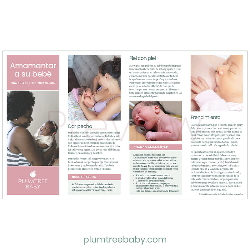 Nursing Your Baby Quick Reference Guides - Pack of 50-Handout-Plumtree Baby